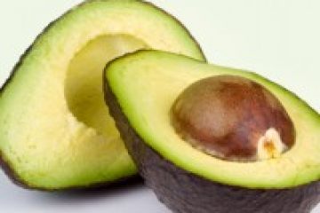 עונת פרי האבוקדו הגיעה